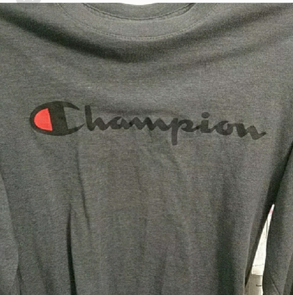 Champion Gray Sweatshirt